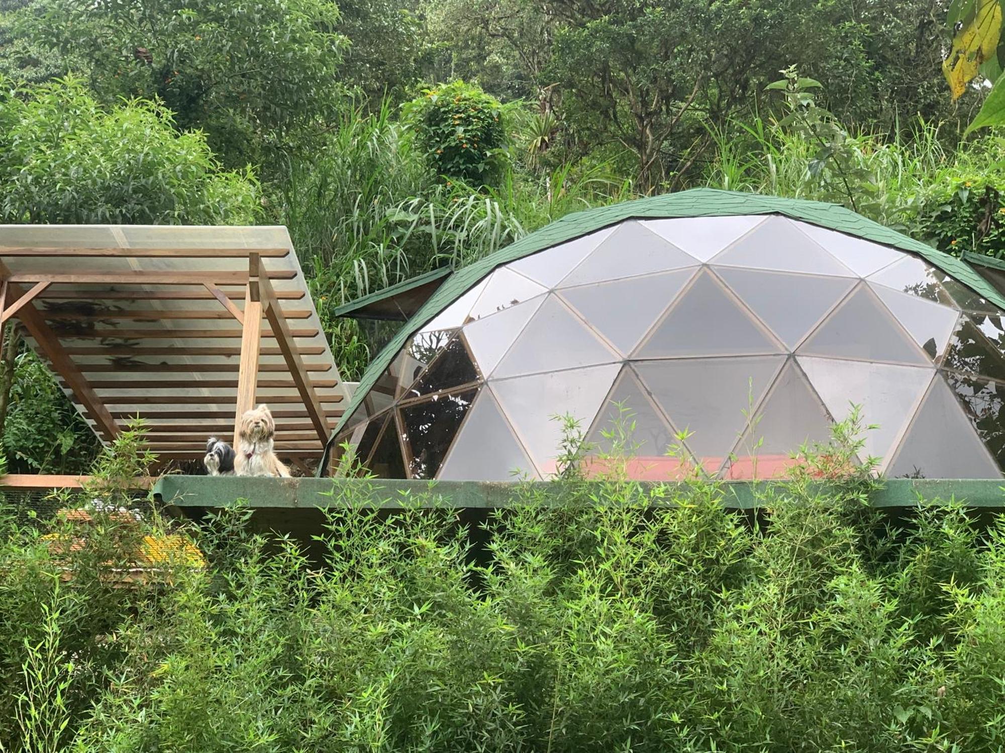 Apartmán Magic Elf Glamping Mindo Exteriér fotografie