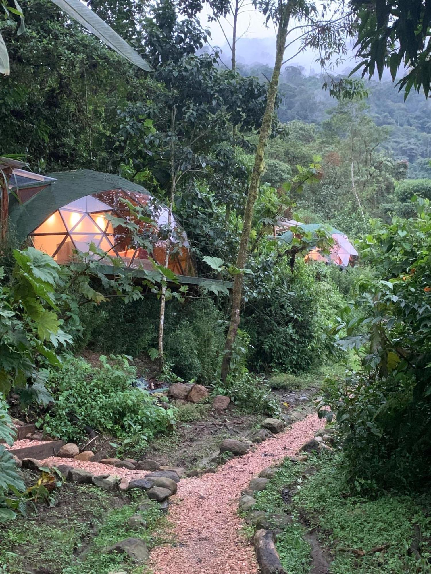 Apartmán Magic Elf Glamping Mindo Exteriér fotografie